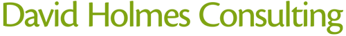David Holmes Consulting logo